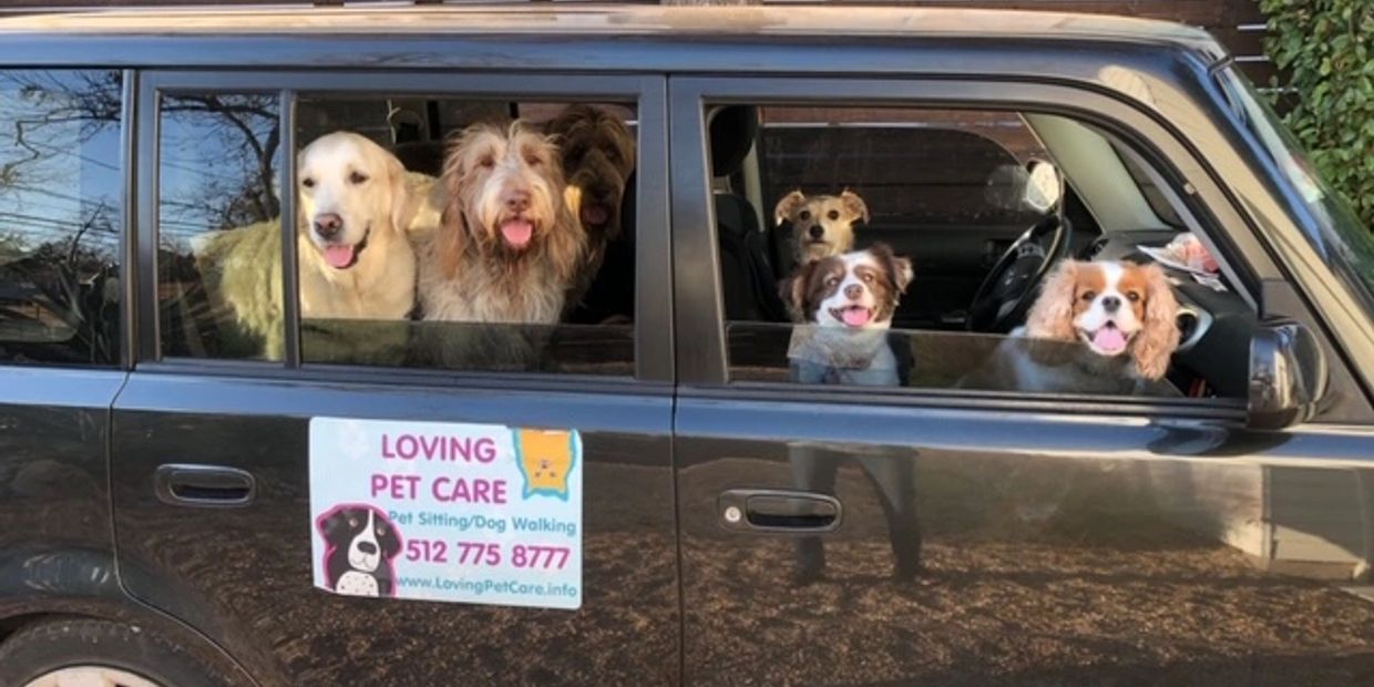 Loving Pet Care Pet Care Pet Services   Cr=w 1240,h 620